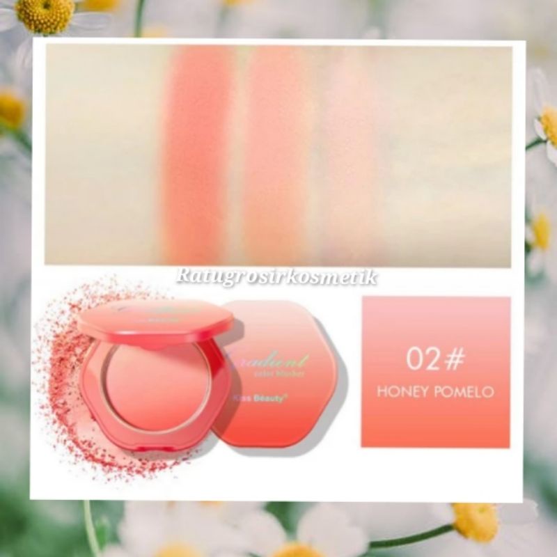 BLUSHER KISS BEAUTY GRADIENT NO.83201/BLUSH ON GRADIENT