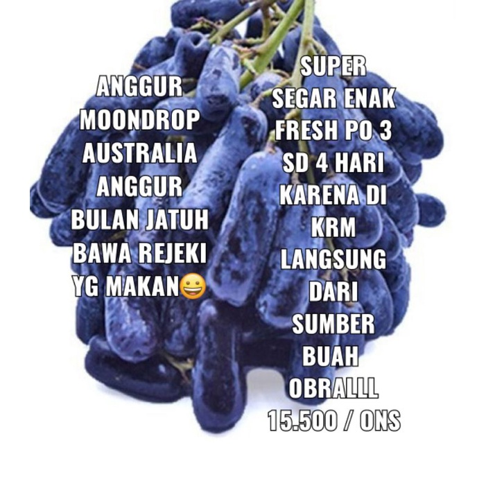 

Anggur Moondrop Australia