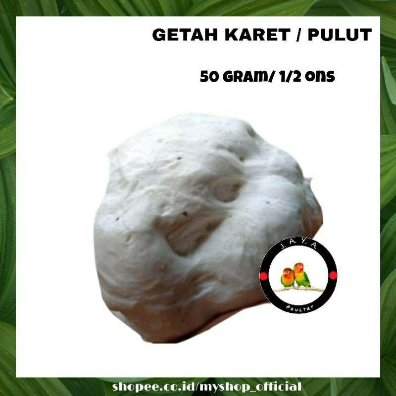 GETAH KARET BENDO PULUT 50 gram