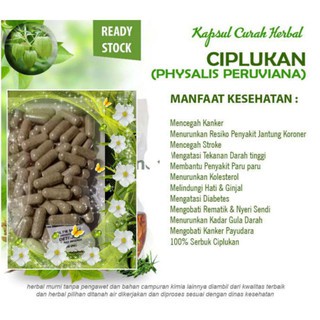 

Ciplukan / Kapsul Daun Ciplukan Herbal Alami - By Inayah Isi 60 kapsul Original 100%