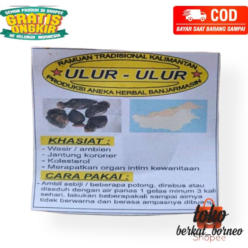 buah ulur ulur khas kalimantan obat herbal ambien jantung koloner atasi kolesterol