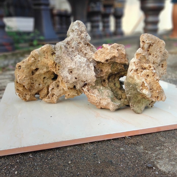 Jual Batu karang bonsai, aquascape, aquarium