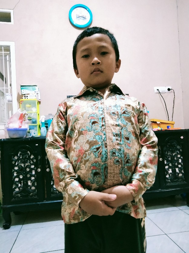 Sb Collection Atasan Kemeja Theo Lengan Panjang Batik Anak Laki-laki