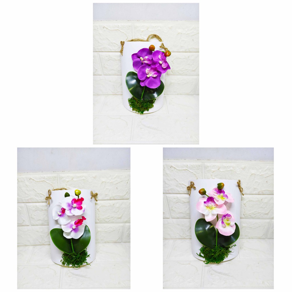 Hanging Orchid - Pajangan Anggrek Gantung Hiasan Dinding