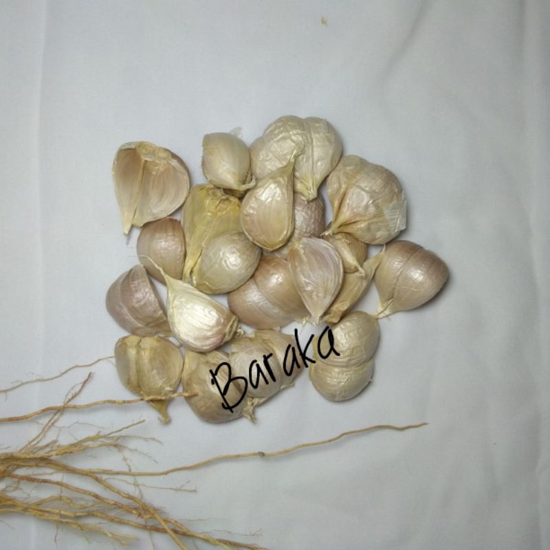 

BAWANG PUTIH KATING MURAH