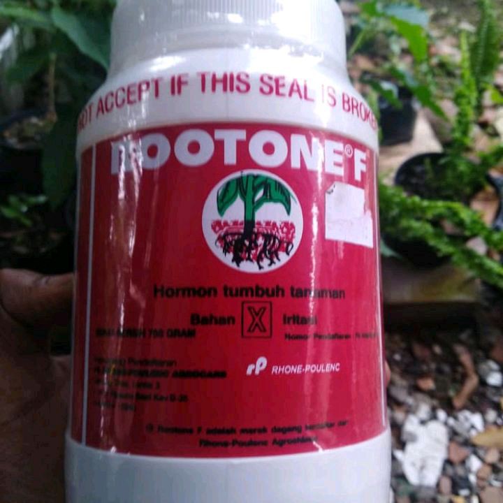 hormon perangsang akar Rootone