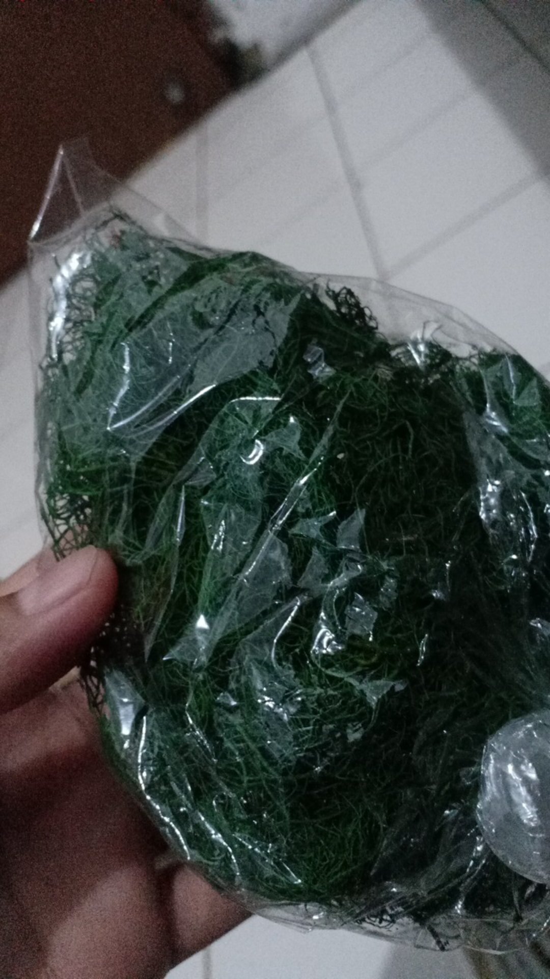 Rumput Kayu Angin Hijau 20gr