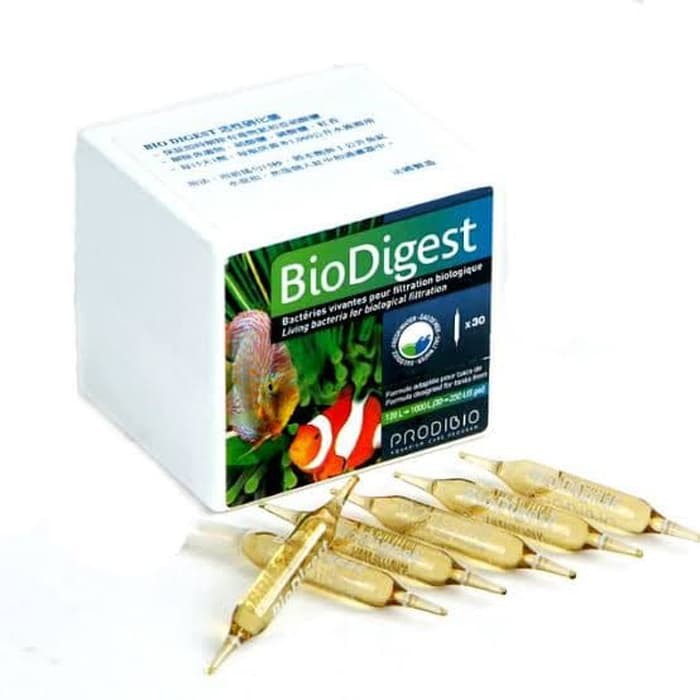 Biodigest Prodibio 1 Vial ampul Living Bacteria Bakteri starter