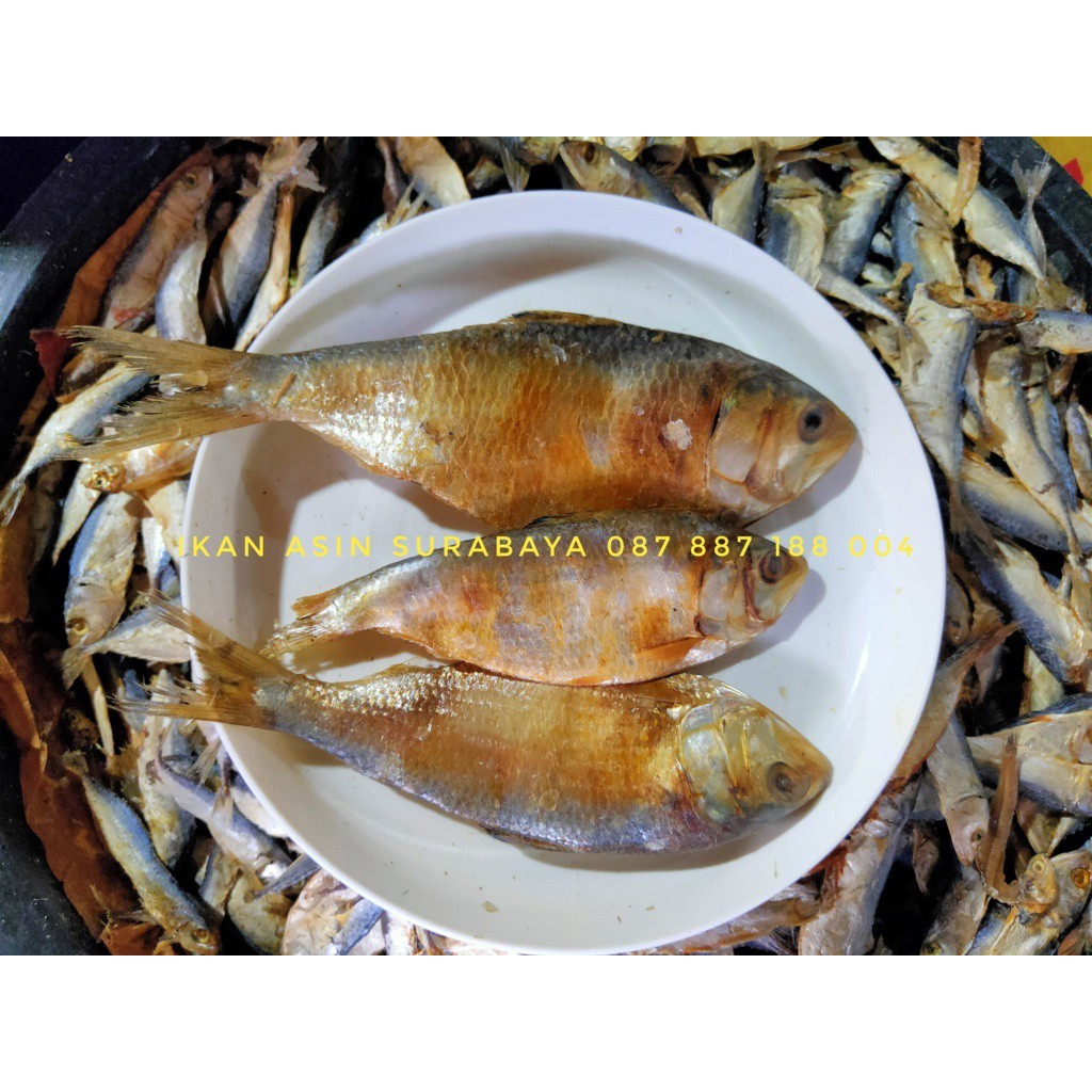 

Ikan Asin Lontongan (Kemasan plastik vacuum press)
