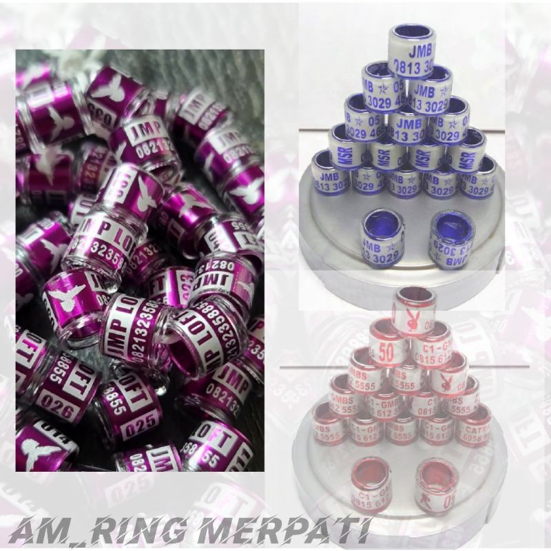Ring Merpati Impor Laser model (PPMBSI 2022)