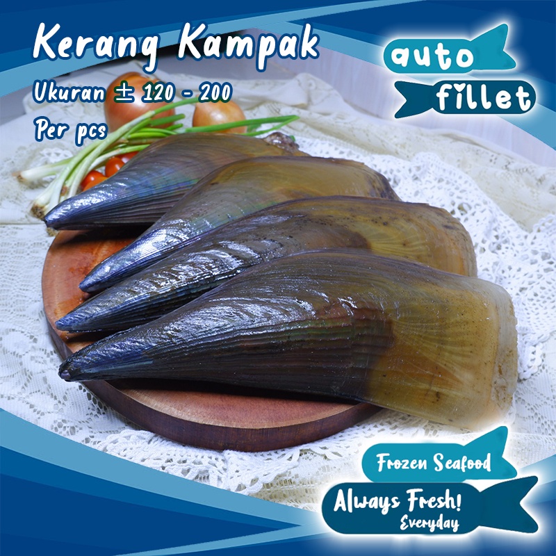 

KERANG KAMPAK LIVE HIDUP FRESH KUALITAS PREMIUM MURAH GRAB GOSEND