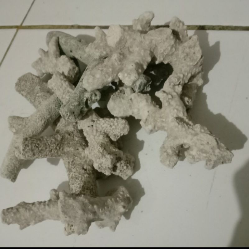 Batu karang jahe Media filter Aquarium kolam 2 kg