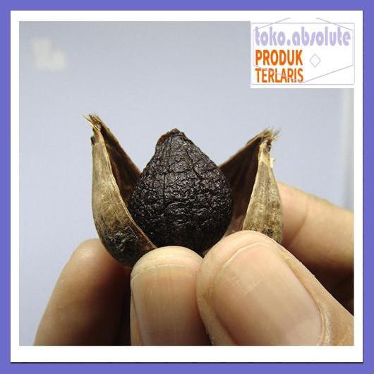 

6E64S6- Black Garlic Tunggal 500 Gram - Bawang Putih Hitam Tunggal/Lanang 76Rdy-