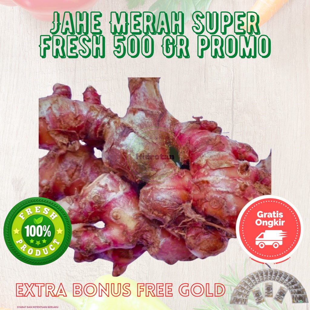 

Jahe Merah 500 gr - Bumbu Masak Murah | Paket Rempah Segar | Rempah-rempah Combo Fresh ( Promo Free Emas )