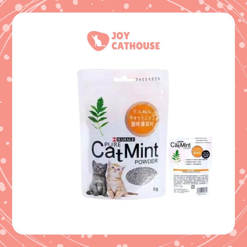 CAT MINT / CATNIP | Cemilan Kucing Menthol | Snack Kucing | Makanan Cat Kitten