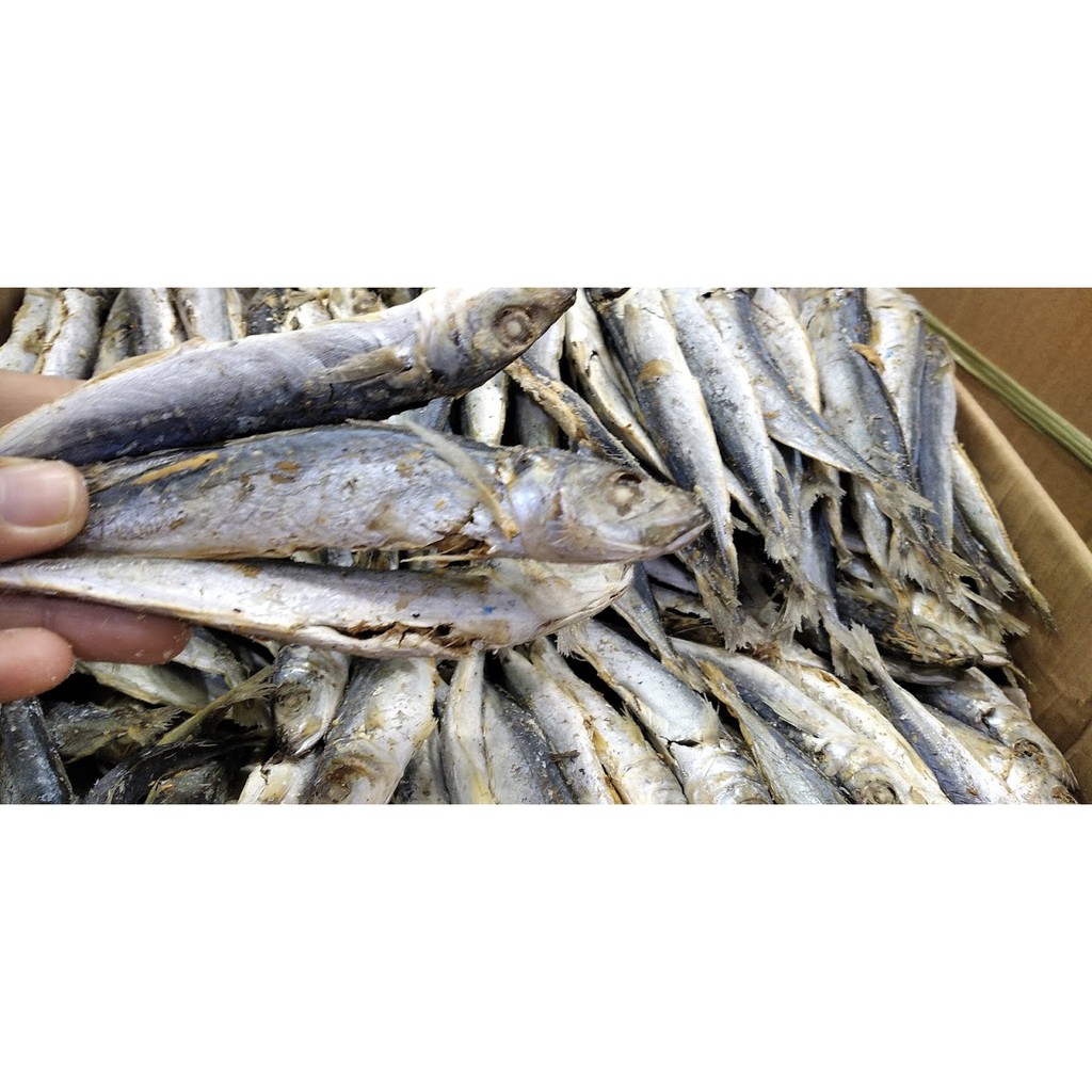 

Ikan Asin Dencis Rebus Medan 1 kilogram Wiendalove