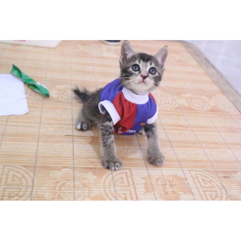 Kaos Jersey fc barcelona untuk kucing dan anjing / baju jersey bola murah size S-XL