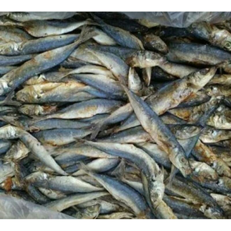 

Ikan Tamban Asin 100 Gram