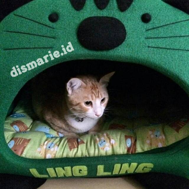 Rumah Kucing Anjing Murah  Shopee Indonesia
