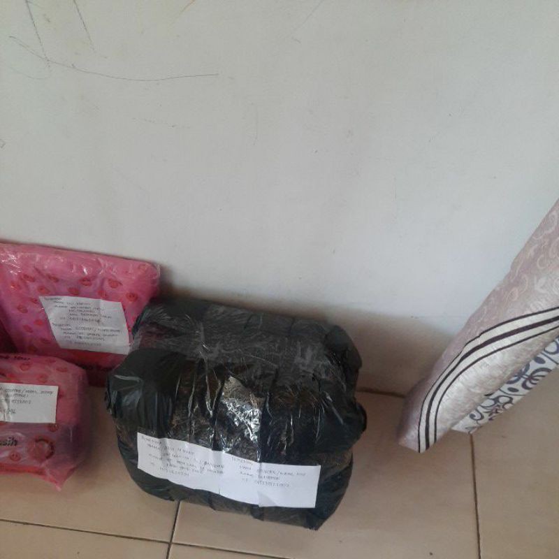 celana bola pendek