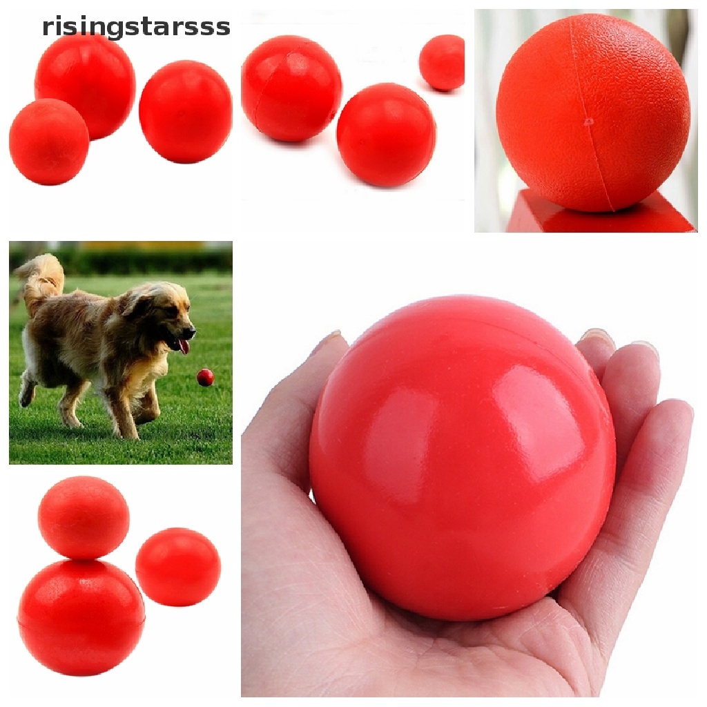 Rsid Span-new Indestructible Solid Rubber Ball Pet cat Dog Training Chew Play Fetch Bite Mainan Jelly