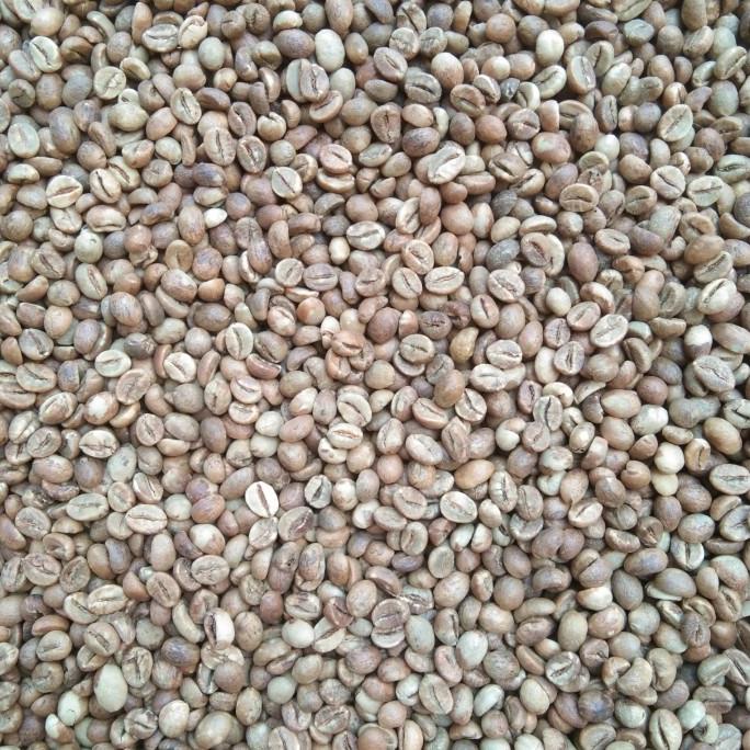 

Green Bean Premium Robusta Lampung Grade B