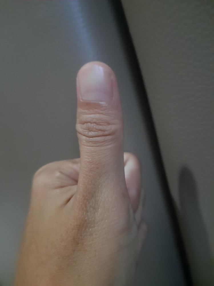 Bolde Super Pan Casserole / Dutch Oven / Dutchoven Panci Rebus 24 Cm Granite Beige Series