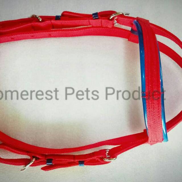Sarung Kendali Kuda(Bridle)