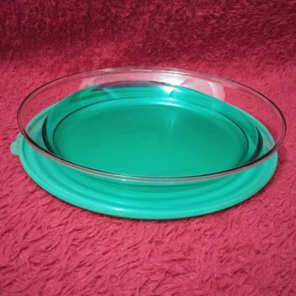 TUPPERWARE Promo Sale  Eleganzia Platter 1.5L Plate Green Hijau Activity Piring Saji Piring Makanan 