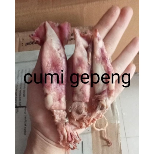 

CUMI ASIN, BESAR KERING (MURAH)