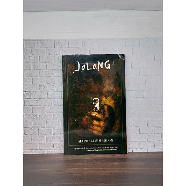 novel jalang