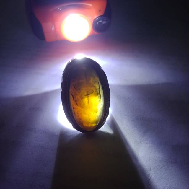 Cincin pandan lumut sisik betok harga nett