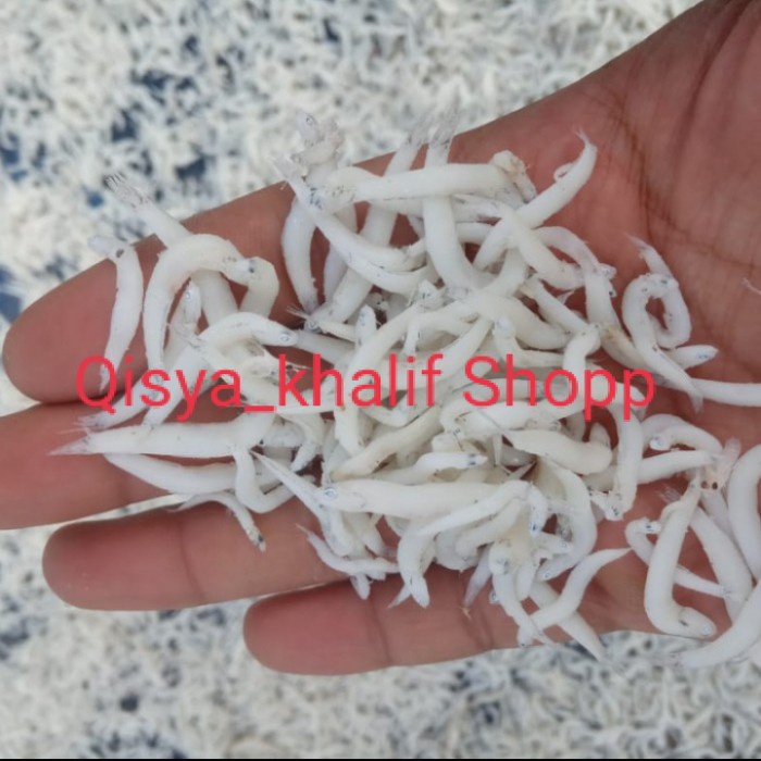 

IKAN ASIN TERI NASI MEDAN GRADE A (1000gr/1kg).