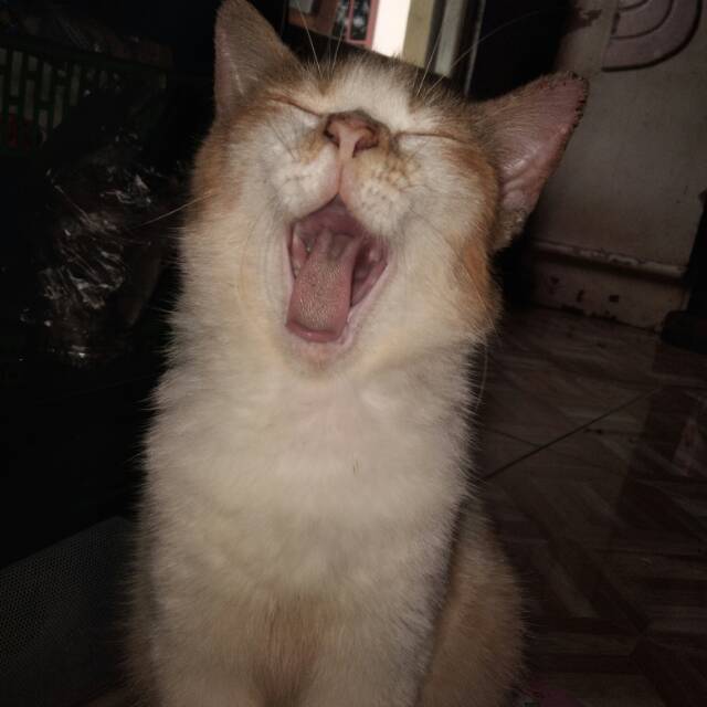 abdlhairii_12nabilla