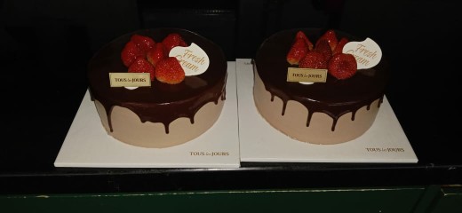 Gantungan Cakar Stainlish Universal