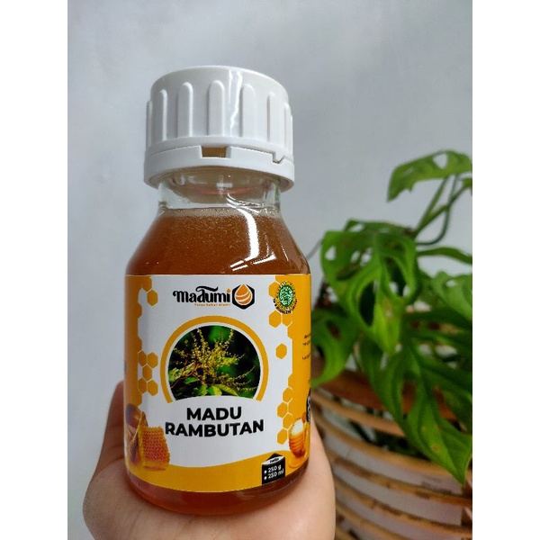 

My Honey Bunga Rambutan 250 ml / 1/4 liter / 325 gram / Madu Asli / Madu Murni / Madu Herbal