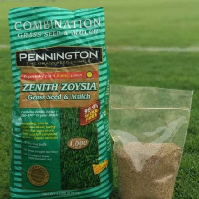 Benih Rumput Joysia Matrella Biji Rumput Manila Shopee Indonesia