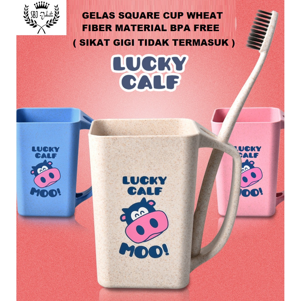 Gelas Cangkir Mug anak SQUARE CUP ECO GREEN WHEAT MATERIAL BPA FREE ADA DUS COCOK DIJADIKAN KADO HADIAH OLEH2