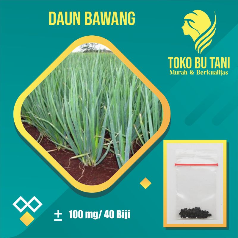 Benih Sayuran Daun Bawang F1 Fragrant Sayuran Loncang Unggul Bibit Sayuran Repack Berkualitas