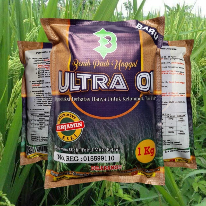 Benih Bibit Padi Ultra 01 Unggul Aceh