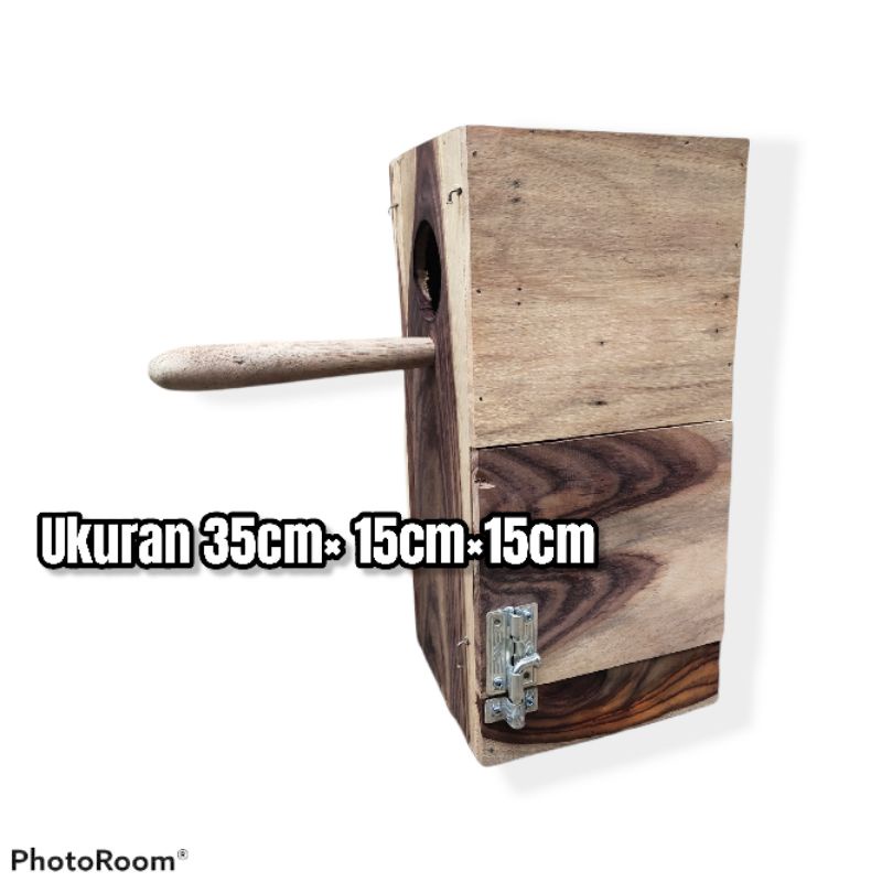 glodok burung serindit, nuri perkici, lovebird parkit