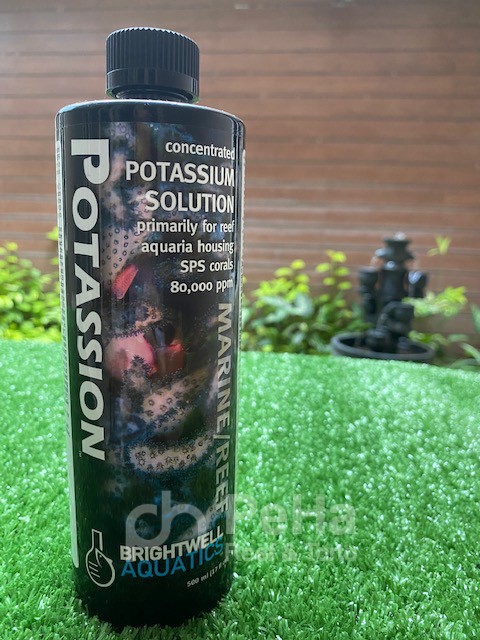 Potassion Brightwell Aquatics - Suplemen Fragmen Coral SPS 500 ml BW