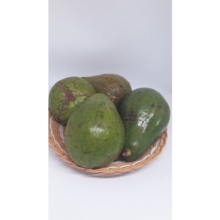 

Buah Alpukat Mentega Pokat Enak 1 Kg Ukuran Jumbo