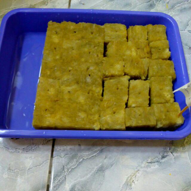 Paket Starter Kit Hidroponik 1 Set Slab Komplit (nampan + Spuit) Murah