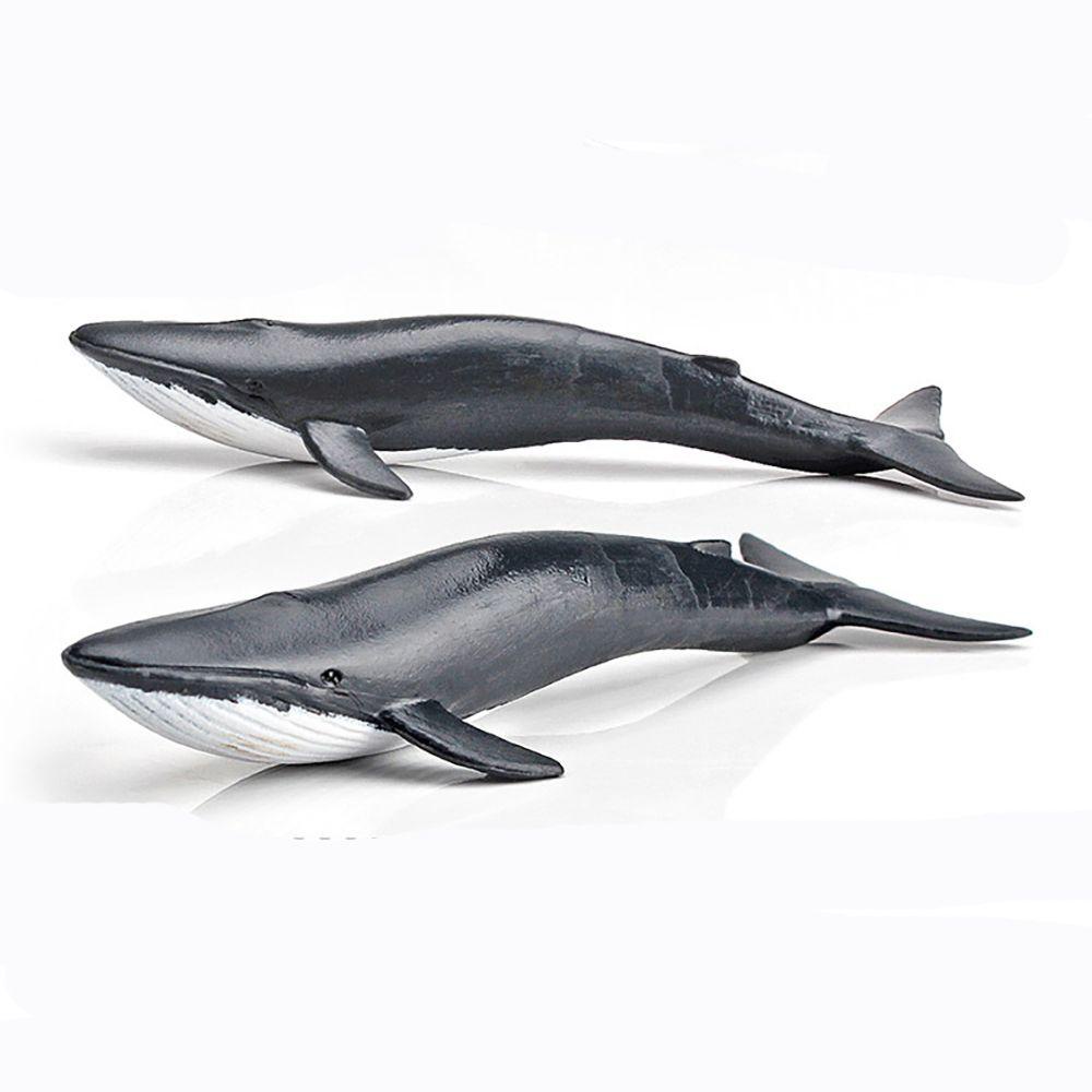 R-flower 12PCS / Set Mainan Edukasi Bentuk Paus / Hiu / Ikan Paus Untuk Anak Laki-Laki / Perempuan Whale