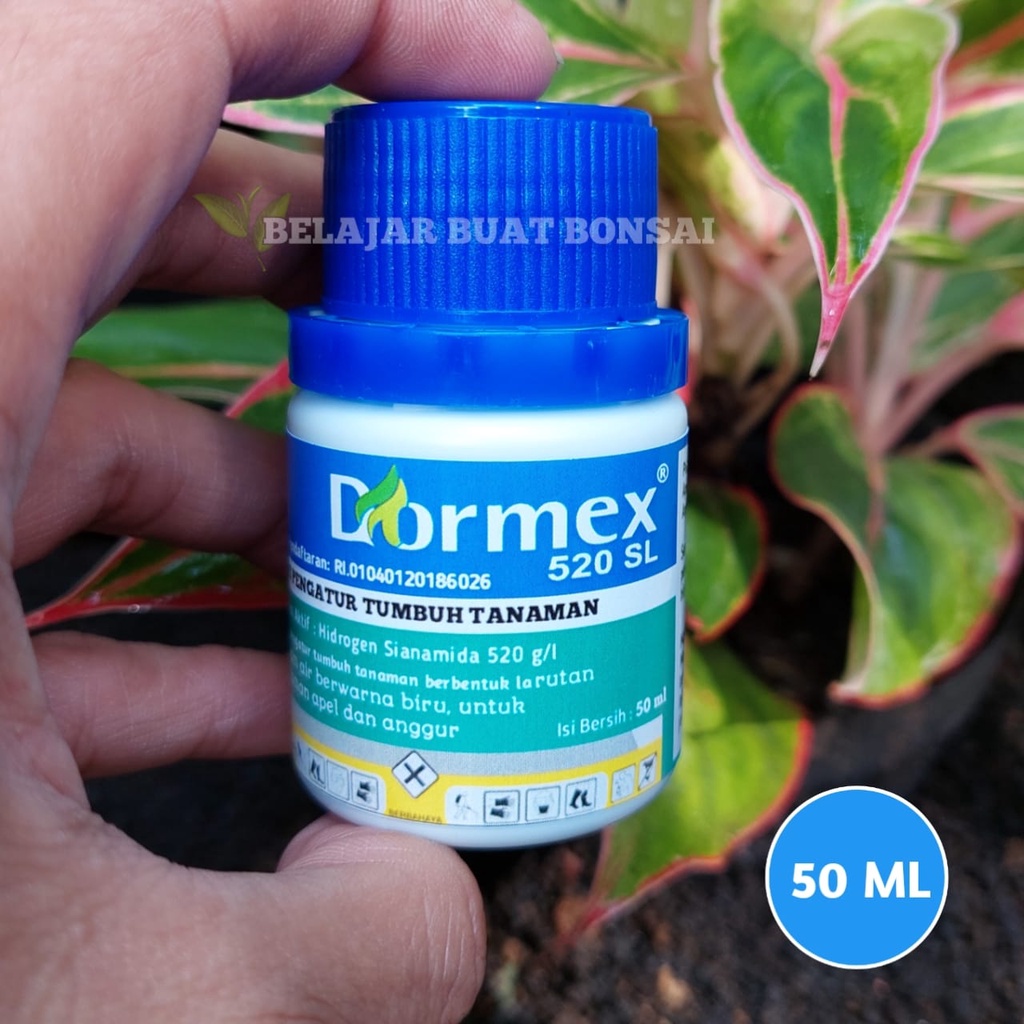 Dormex 520SL Hidrogen Sianamida ZPT Apel Anggur Germany