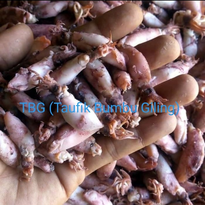 

baby cumi asin 500gr