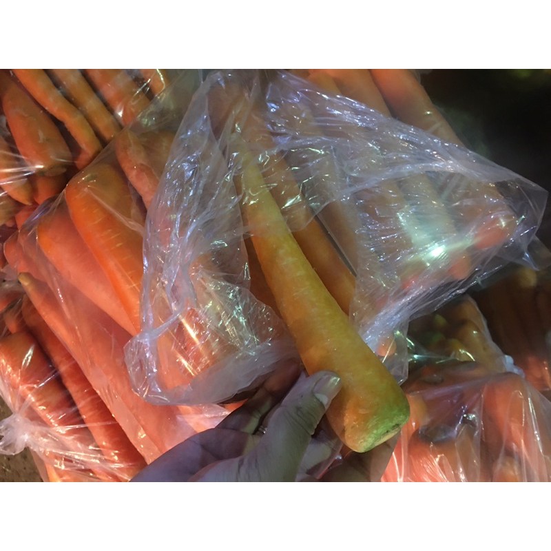 

Wortel Besar Import 1Kg