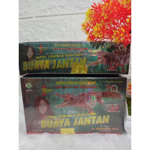 KAPSUL buaya jantan original