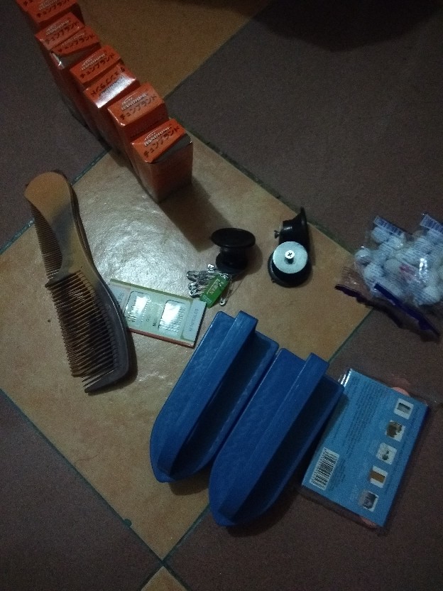 Naim_surya_asemka_kamper Tikus Dan Kecoa